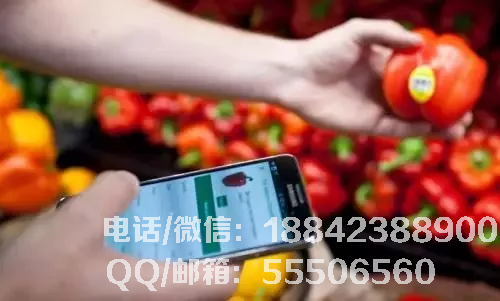 16-1P30G41643530.png