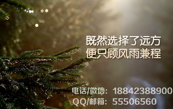 4D850513-E22C-5777-A403CA4C05E7.jpg